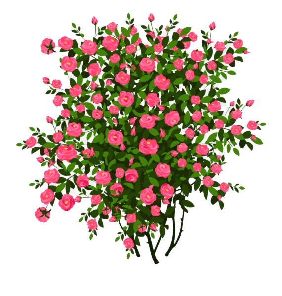 For that Special Someone…